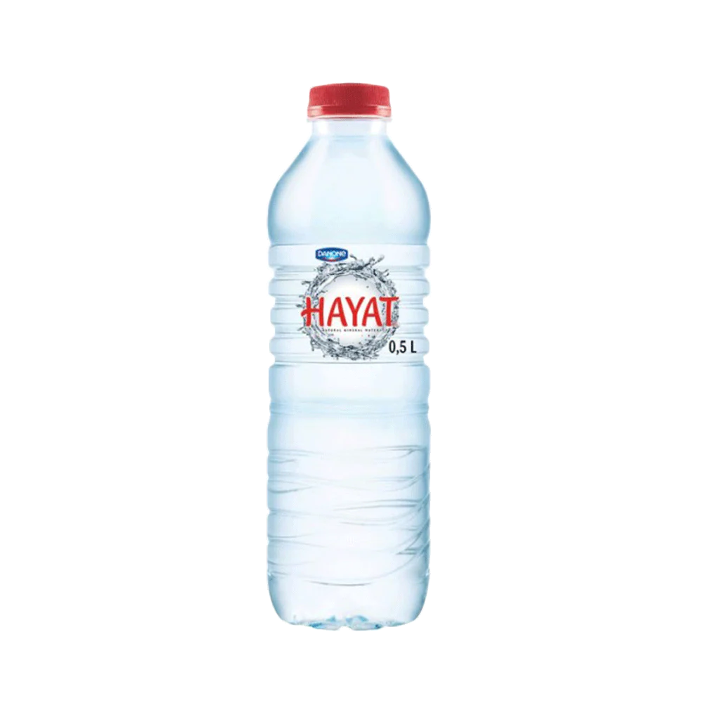 Danone Hayat Water | 24 x 500ml