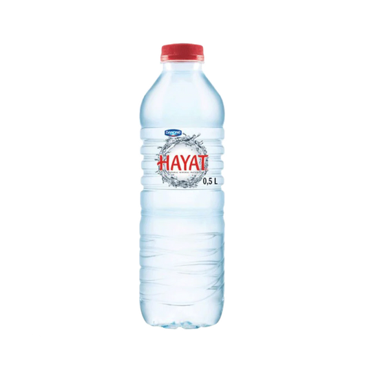 Danone Hayat Water | 24 x 500ml